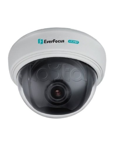 AHD-камера видеонаблюдения купольная EverFocus ED-910F в Твери Аналоговые камеры Pintop.ru