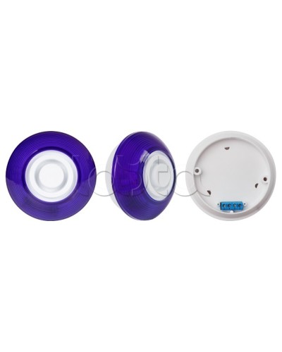 Оповещатель комбинированный SLT Марс 12-КП (строб, син) в Твери Оповещатели Pintop.ru